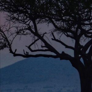 Meet your Posher, Derrick